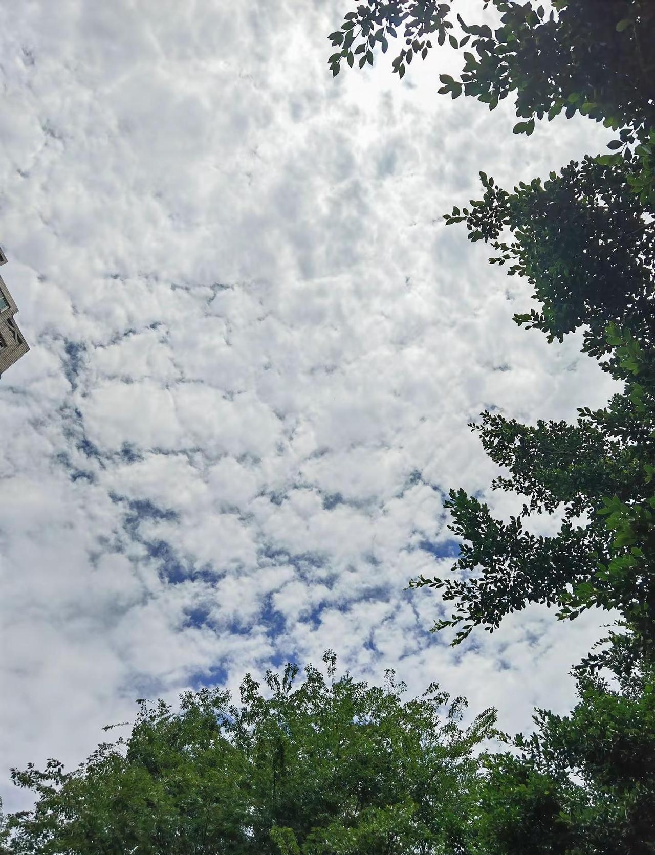 成都的天空。2026年6月26日，成都晴。前两天是阴天，今天中午太阳朦朦胧胧地终