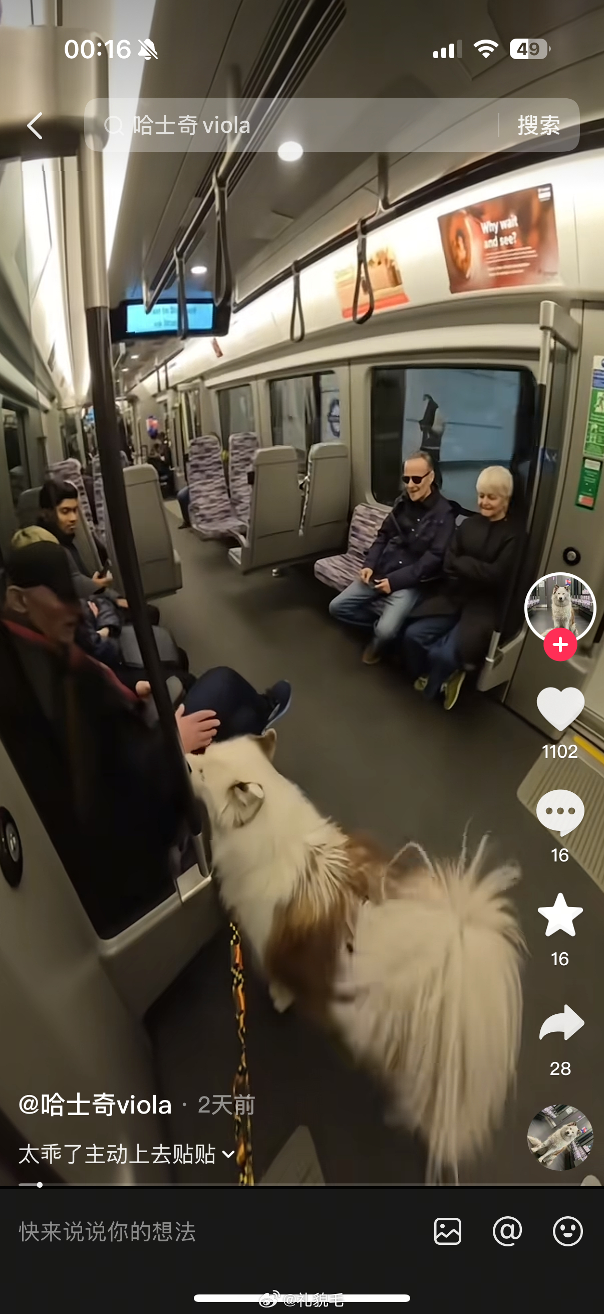 我在doiyin上居然学到东西了就是摸陌生小狗之前要先让小狗闻一下自己的手背，这