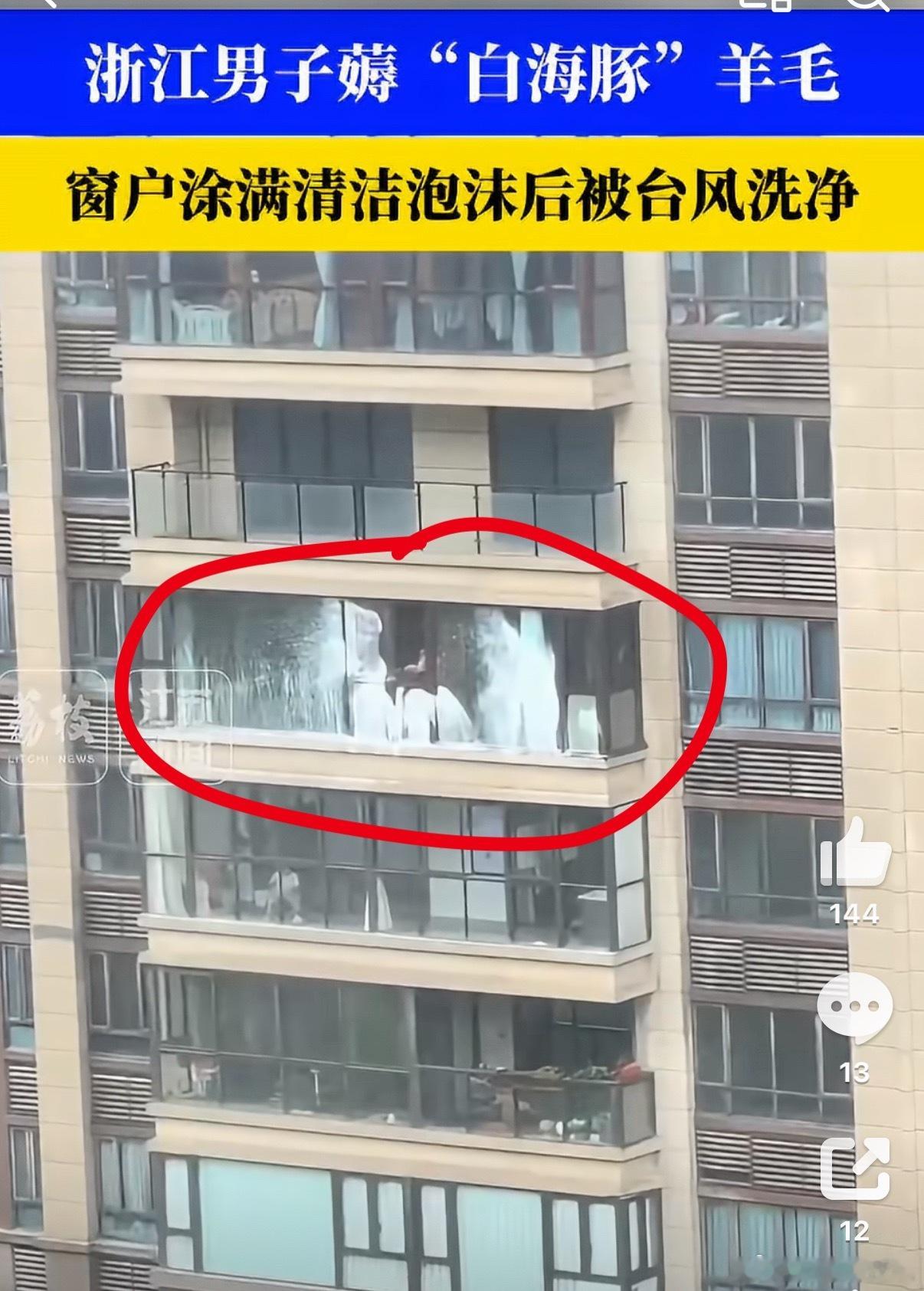 真有人薅到白海豚羊毛了别人：赶紧贴米字，挂「谢停风」作者：赶紧喷清洁泡沫白海豚：