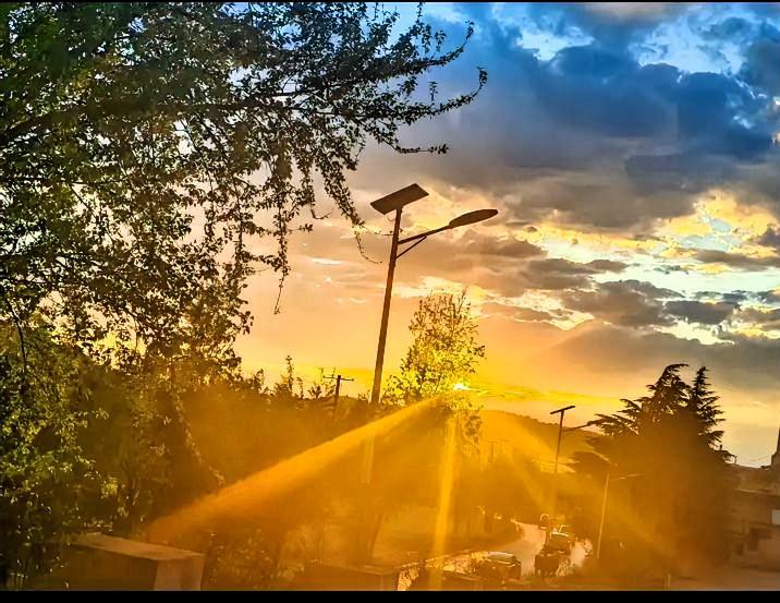 云南的夜景！

这张照片里的夕阳也太治愈了吧！你看那金灿灿的阳光透过树影和路灯洒