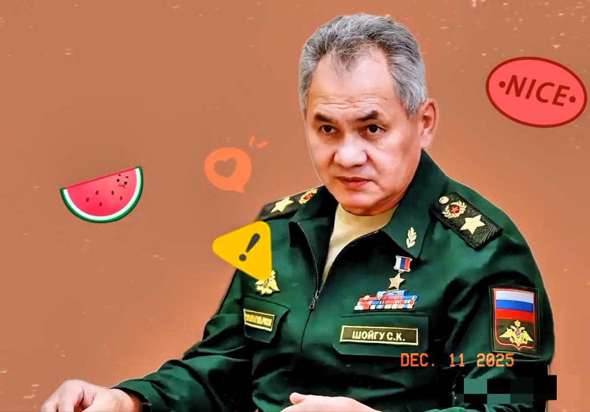 绍伊古大将：一旦开战，日本四岛将成为战场，绝不会让日本和欧洲的军国主义复苏，任何