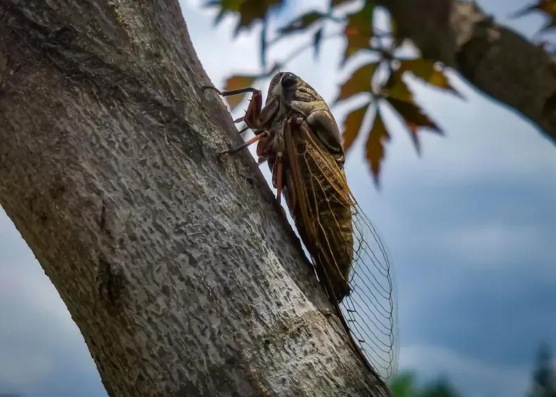 人间旧梦：小时候的夏天，没有空调却格外凉快

现在的夏天，空调24小时不停，
可