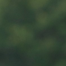 贺峻霖贺峻霖HUAWEI nova代言人💚 贺峻霖五十公里桃花坞6“祝愿大家也