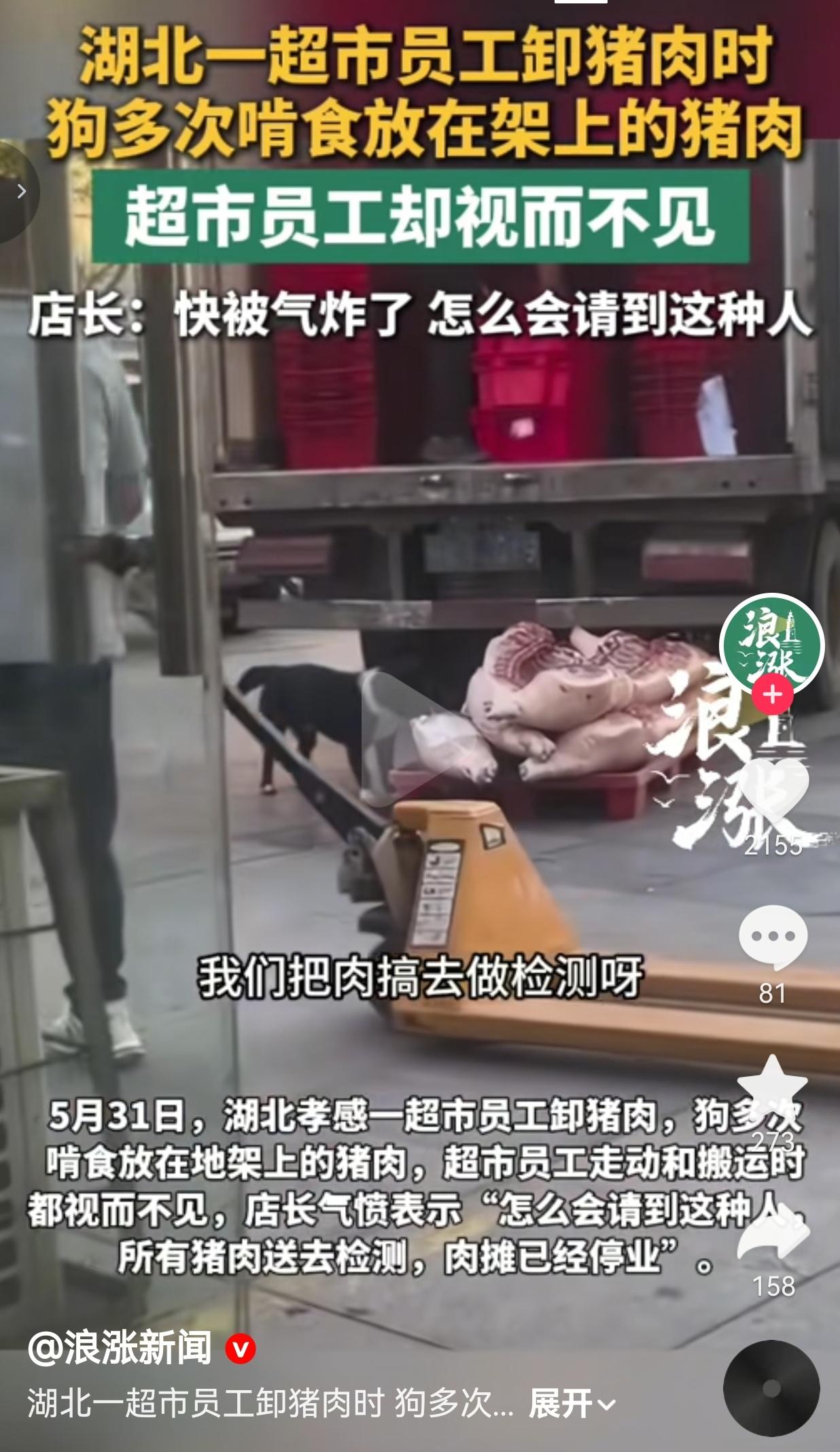 超市卸猪肉时野狗啃食，员工全程无视！店长怒了：怎么会请到这种人？

 
刚到货的
