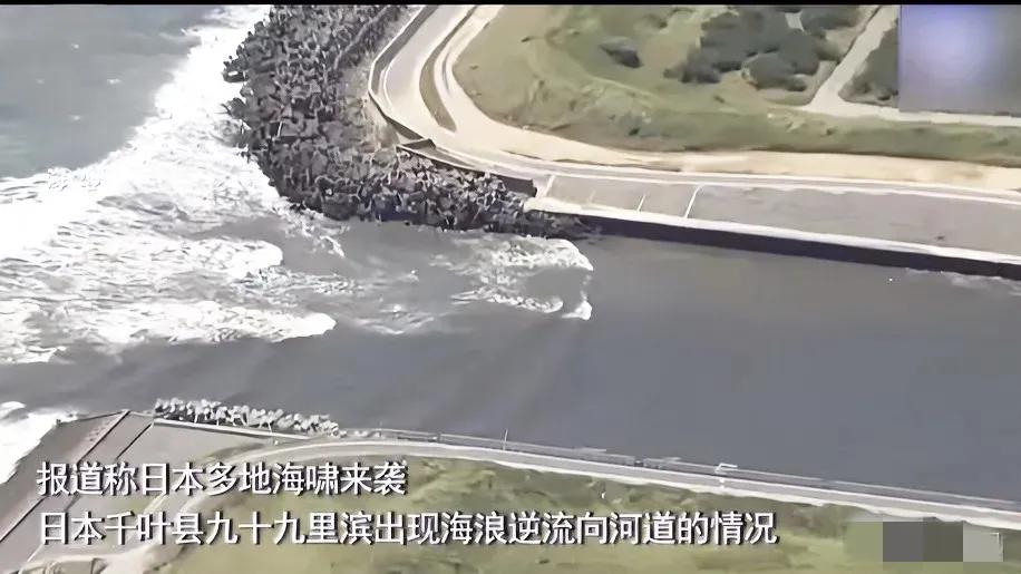 航拍海啸画面流出，海啸已经抵达日本，巨大的浪花，白花花的涌进河道，四条大鲸鱼不知