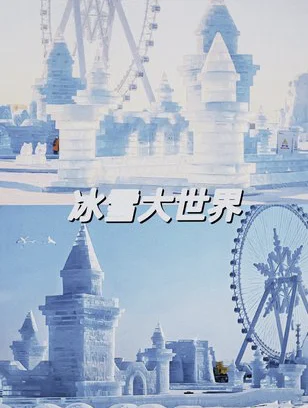 男大勇闯哈尔滨这条避坑指南小土豆一定得看