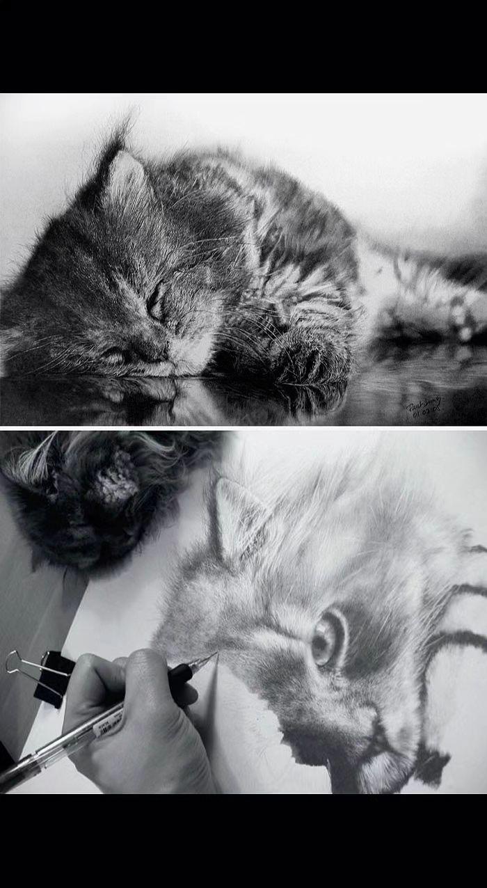 ✏️铅笔尖在纸上跳圆舞曲，猫咪的梦被揉进炭灰里🌙 原来黑白世界，藏着最温柔的呼