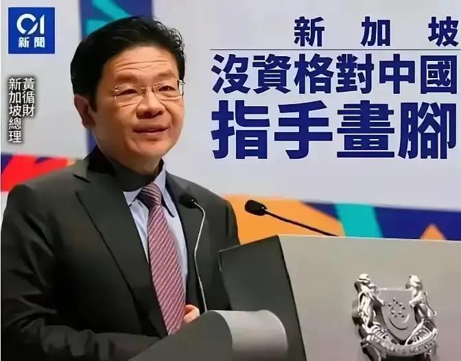 快讯！快讯！
万万没想到，中方还没对新加坡总理进行谴责，他就被新加坡政界人士给痛