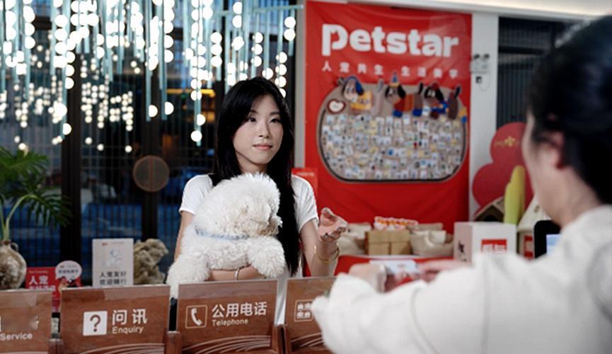 不知道大家发现没有，现如今，越年轻的人，越不爱生孩子，反倒拼命宠自家的“毛孩子”