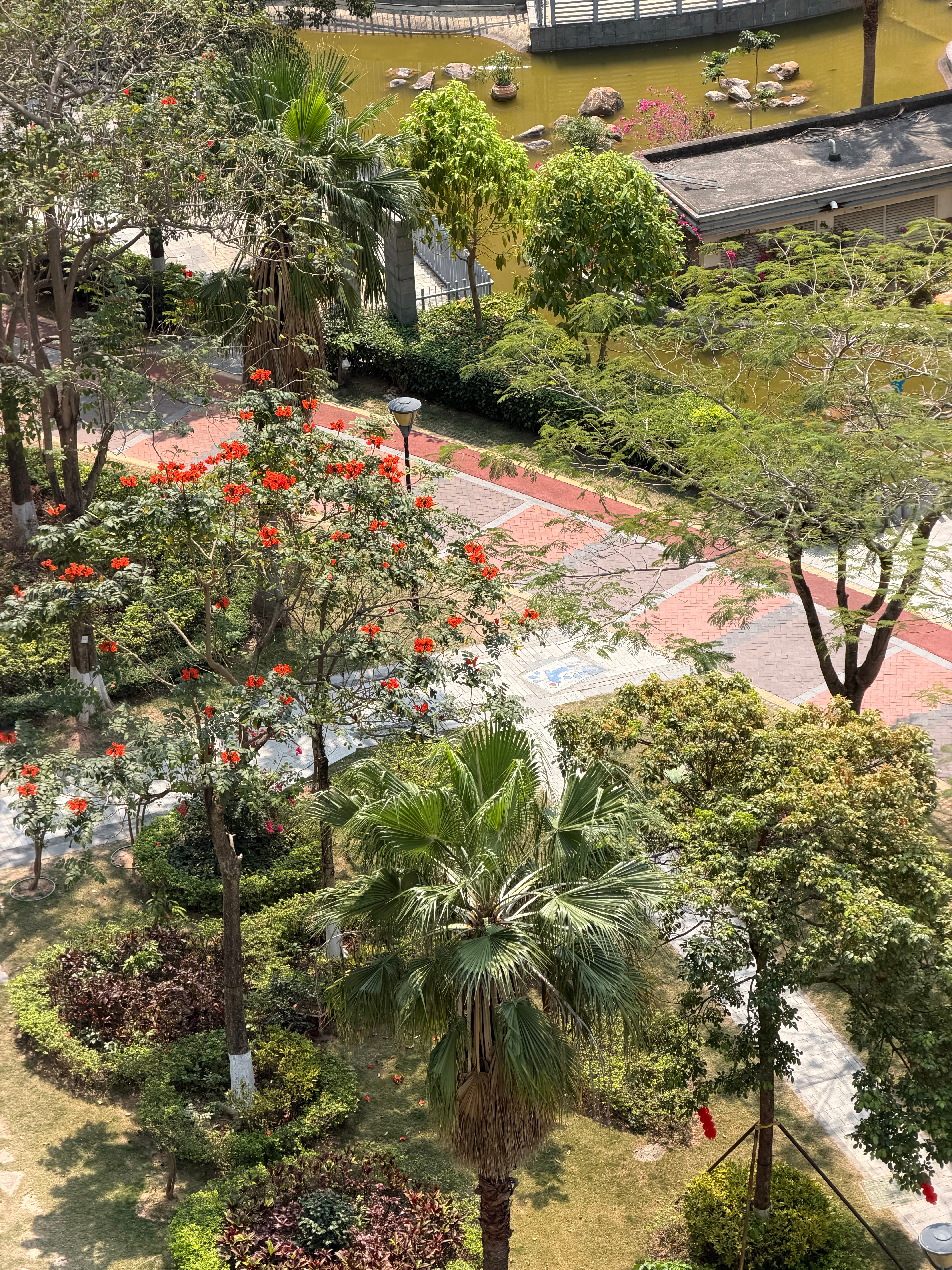 早安，周末 深圳·深航假日名居