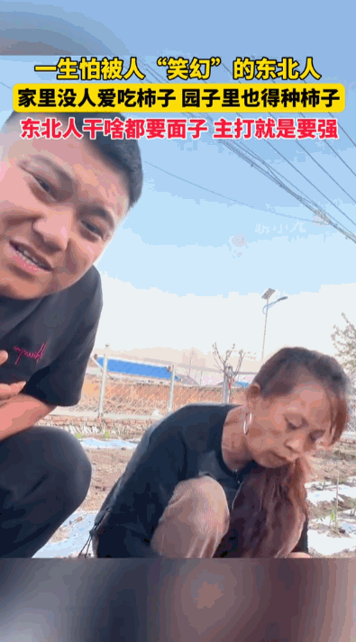 “人活一张脸，树活一张皮”据媒体5月10日报道，一段关于东北人“种柿子”的日常话