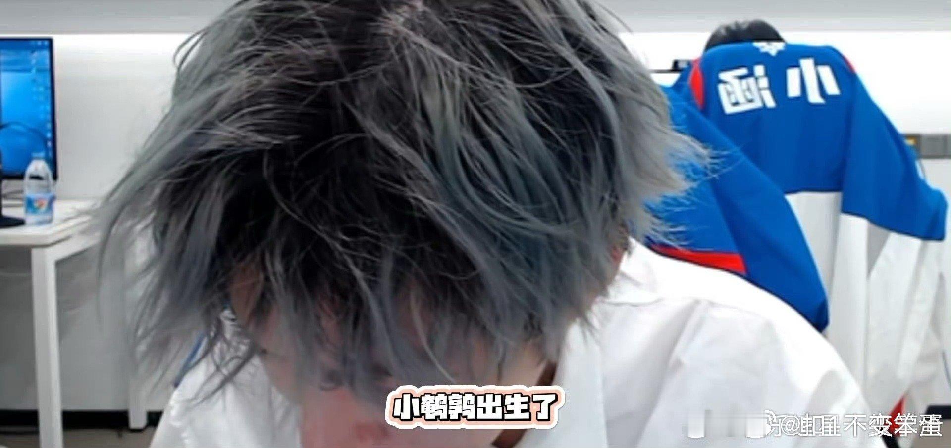Gemini当爸 九尾当干爹的快乐谁懂！家人们别等了，打开小🍠，LGD后续直播