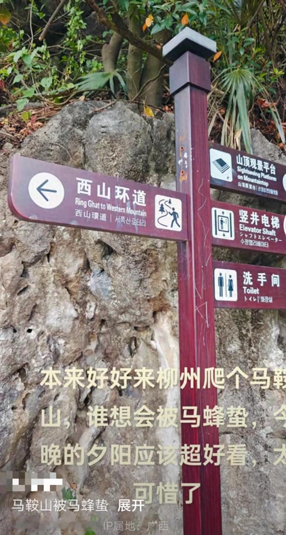 突发！广西柳州一景区疑多名游客被马蜂蜇伤送医，现场曝光

十一黄金周，很多人都会