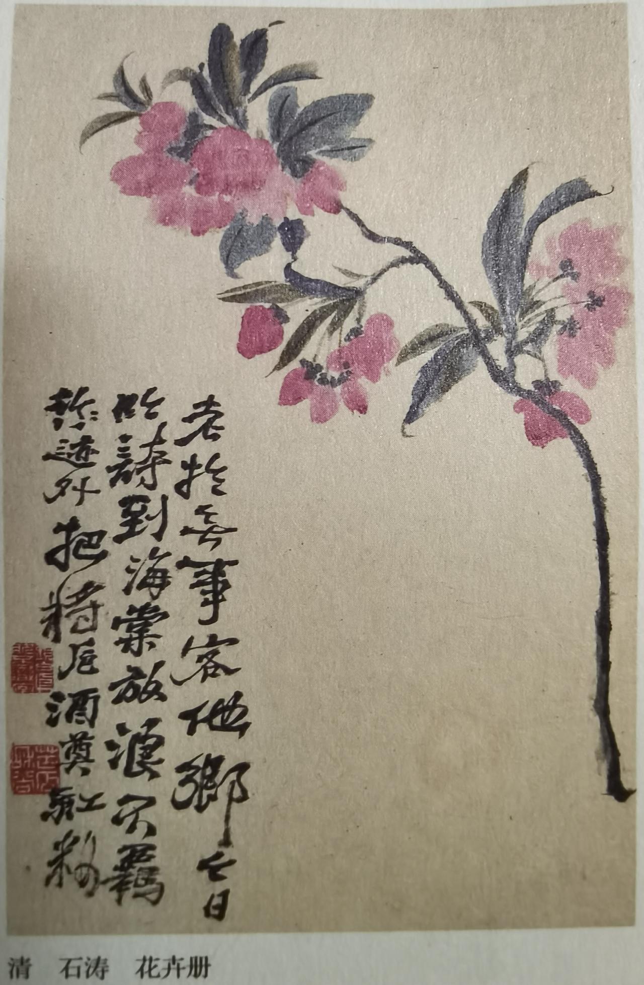看见路上的花，不知是啥花，就想到了花卉册的一幅画。
上面说：老于无事客他乡，今日