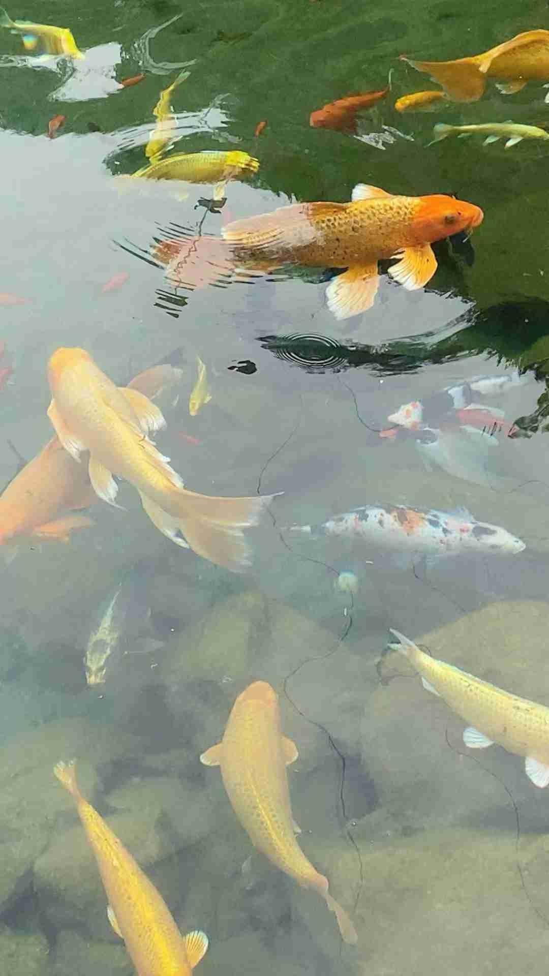 我的今日状态：💰期待暴富
我这里的天气：🍂微风  今天我为我的孩子祈福！愿我