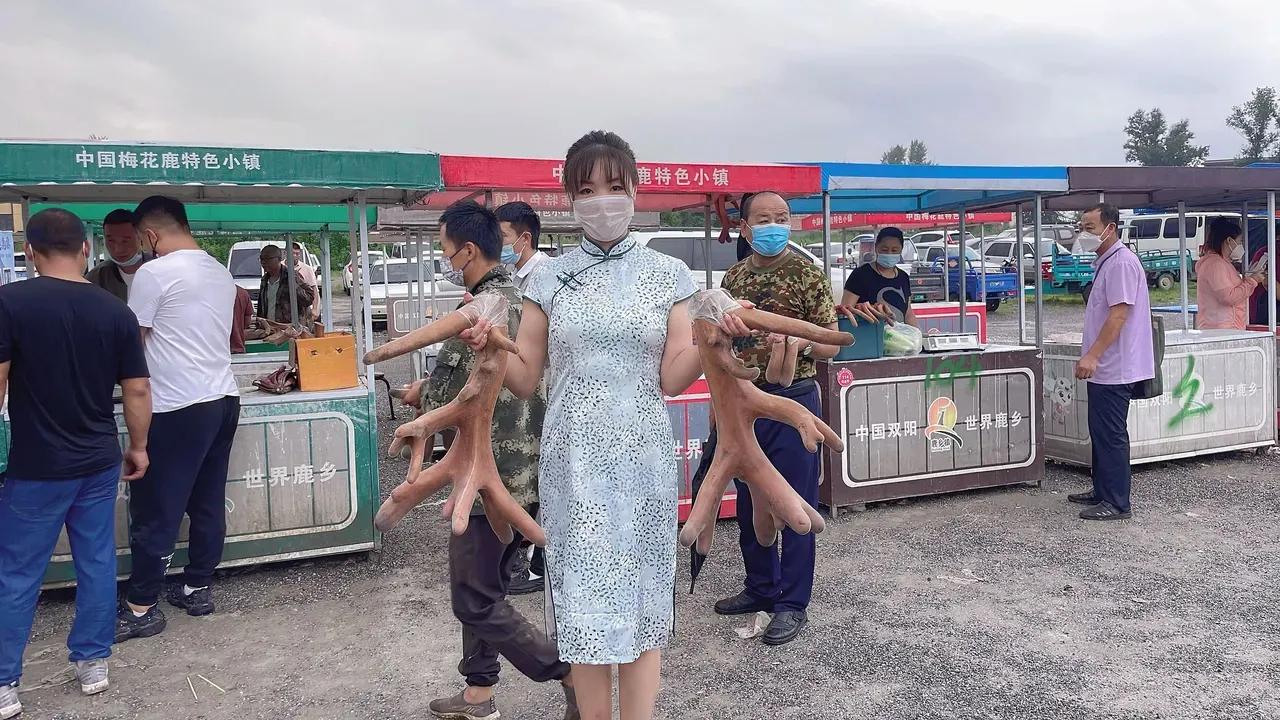 长春鹿茸早市，卖鹿茸像卖白菜一样人山人海，20多斤一只卖多少钱鹿茸 补肾吃什么比