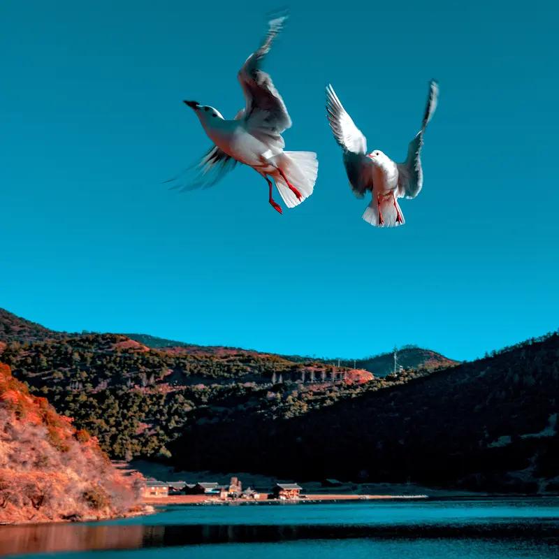 “在天愿作比翼鸟，在地愿为连理枝”，此句诗道尽了相爱的人厮守一生的美好祈愿。倘若