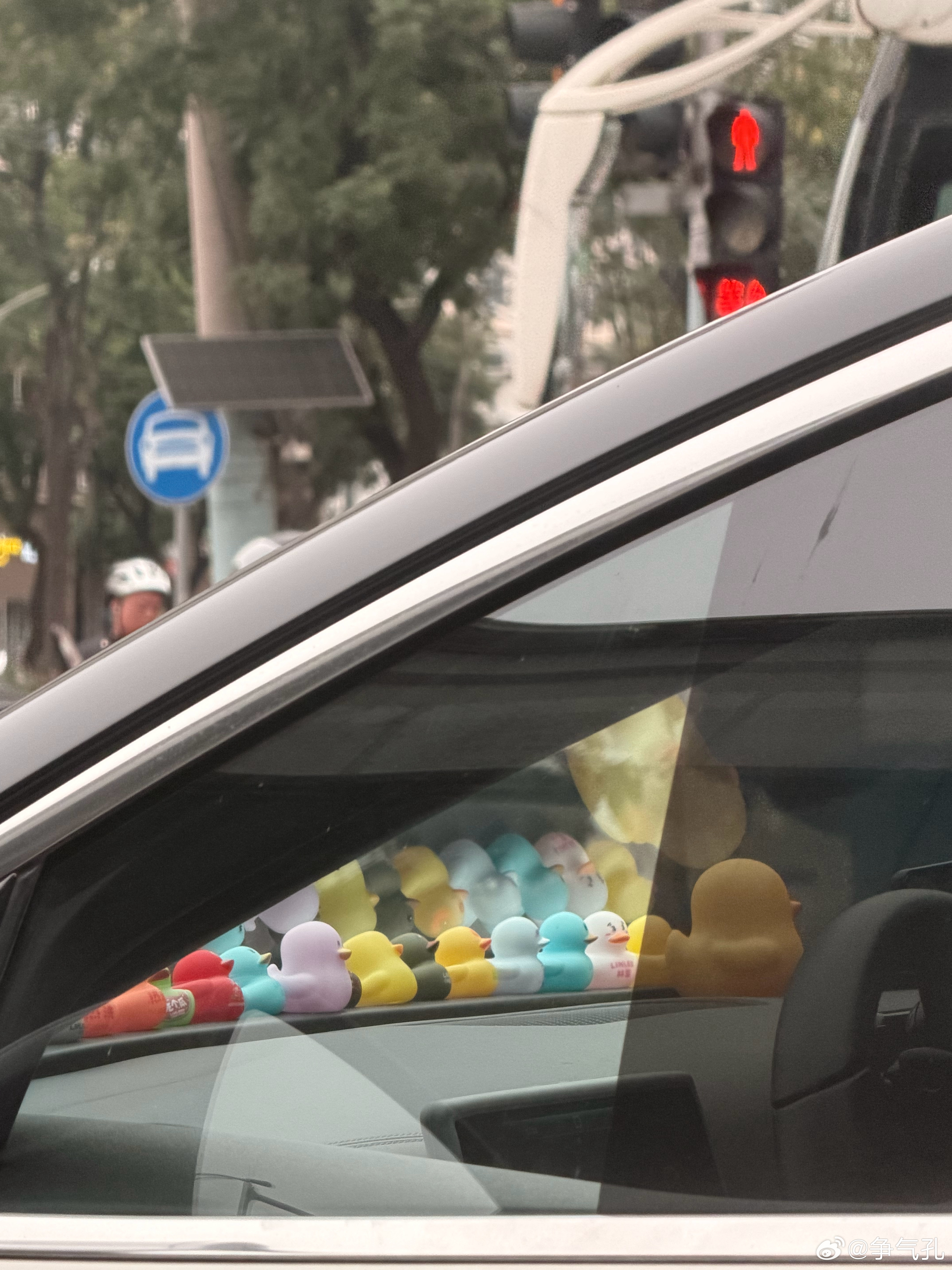 堵车的时候发现旁边车里放了一堆鸭子，想必师傅家里一定有人很爱喝林里，想想也感觉很