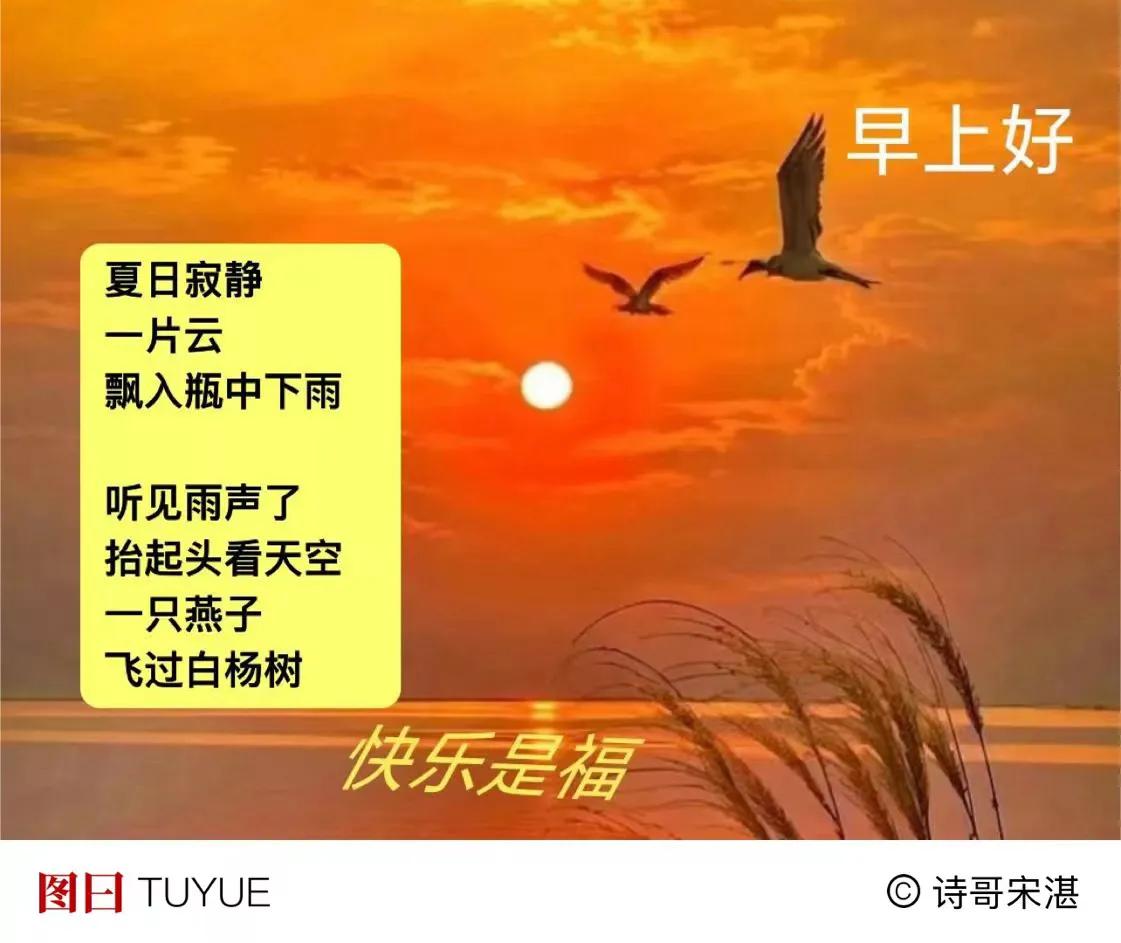 若是看花
仍是没有闲暇
记得抬起头
·
看一眼
鸟飞  云飘  天高
树影摇晃
