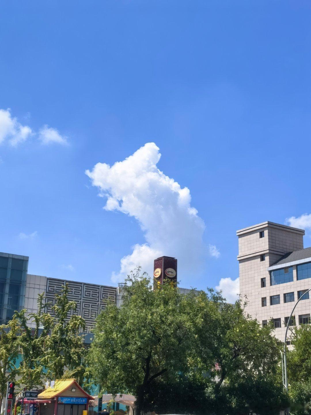 西安旧事 午后气温飙升至三十七度，热浪裹挟街巷。为记录《西安旧事》开展户外拍摄，
