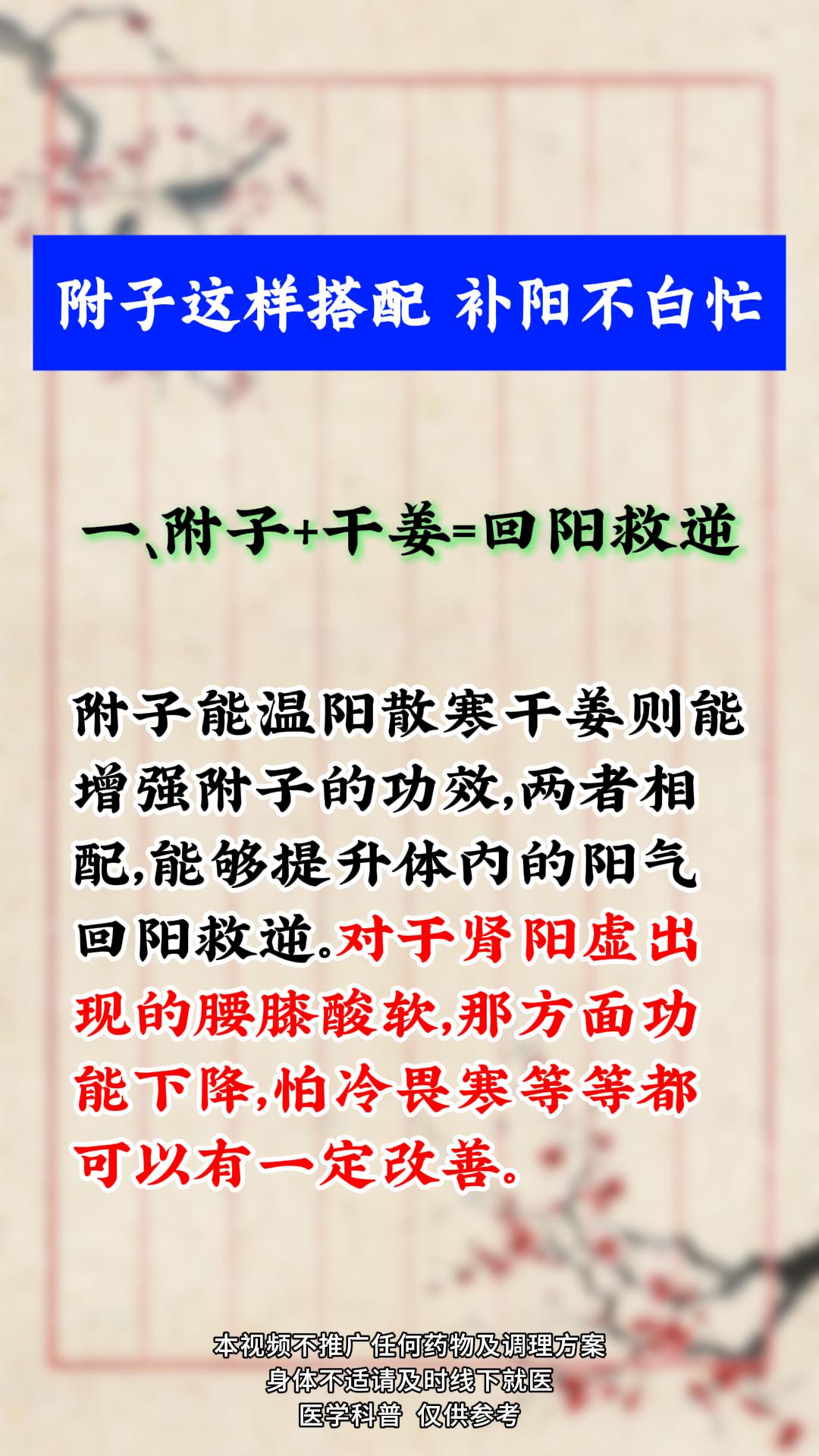 中医健康养生附子这样搭配，补阳不白忙！