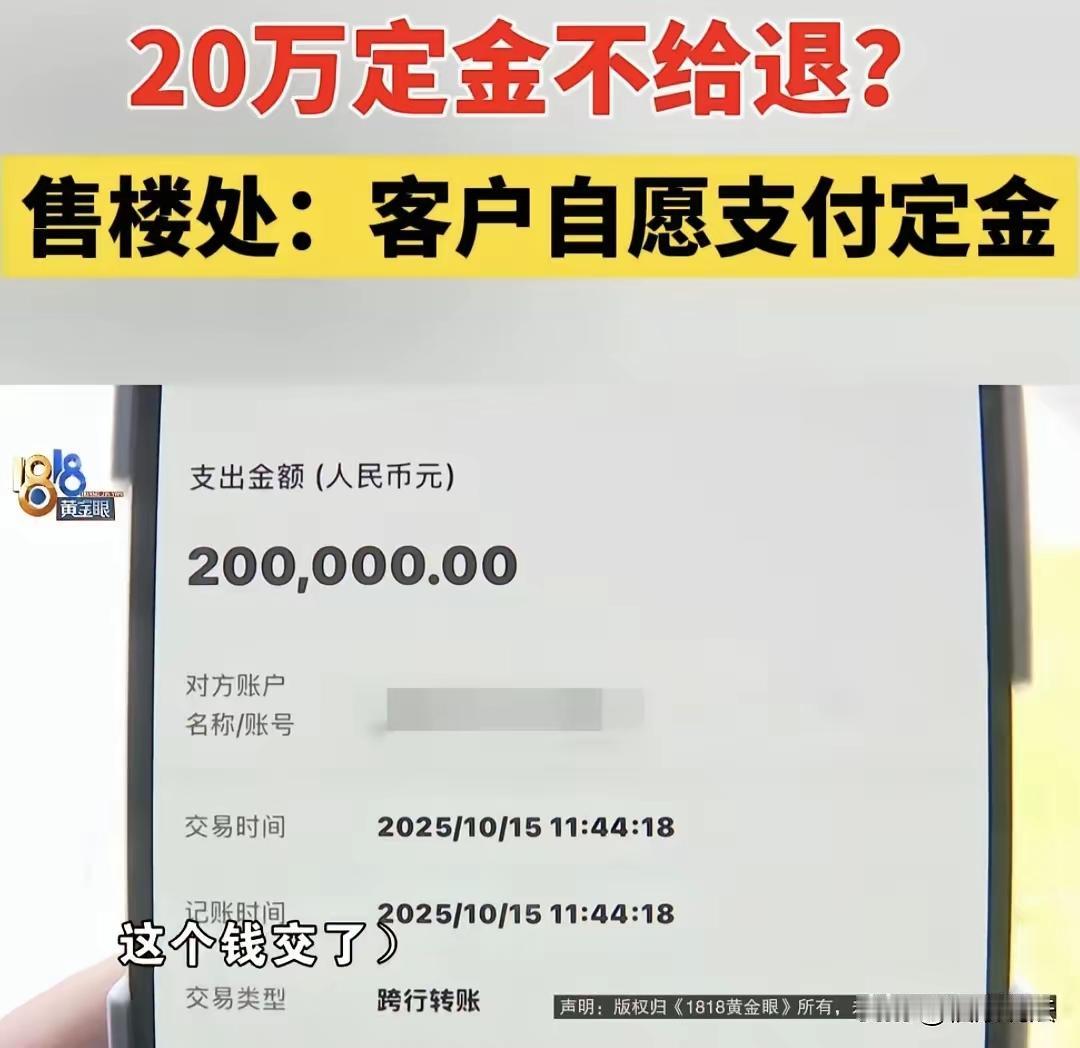 案件的关键点在于张女士与开发商或销售之间的款项性质和后续退还问题。根据描述，情况