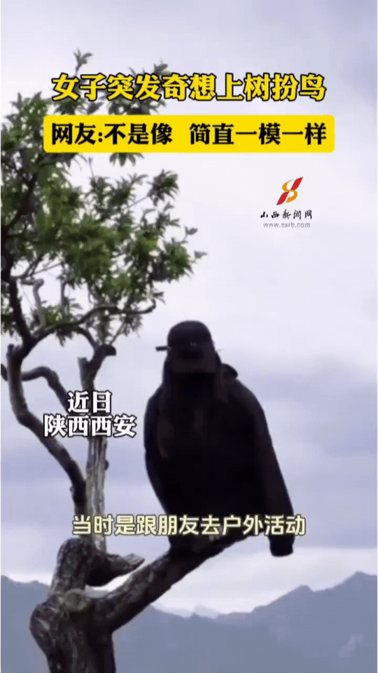 女子户外突发奇想上树“扮鸟”，网友：这模仿简直以假乱真！
 
近日在陕西西安，一