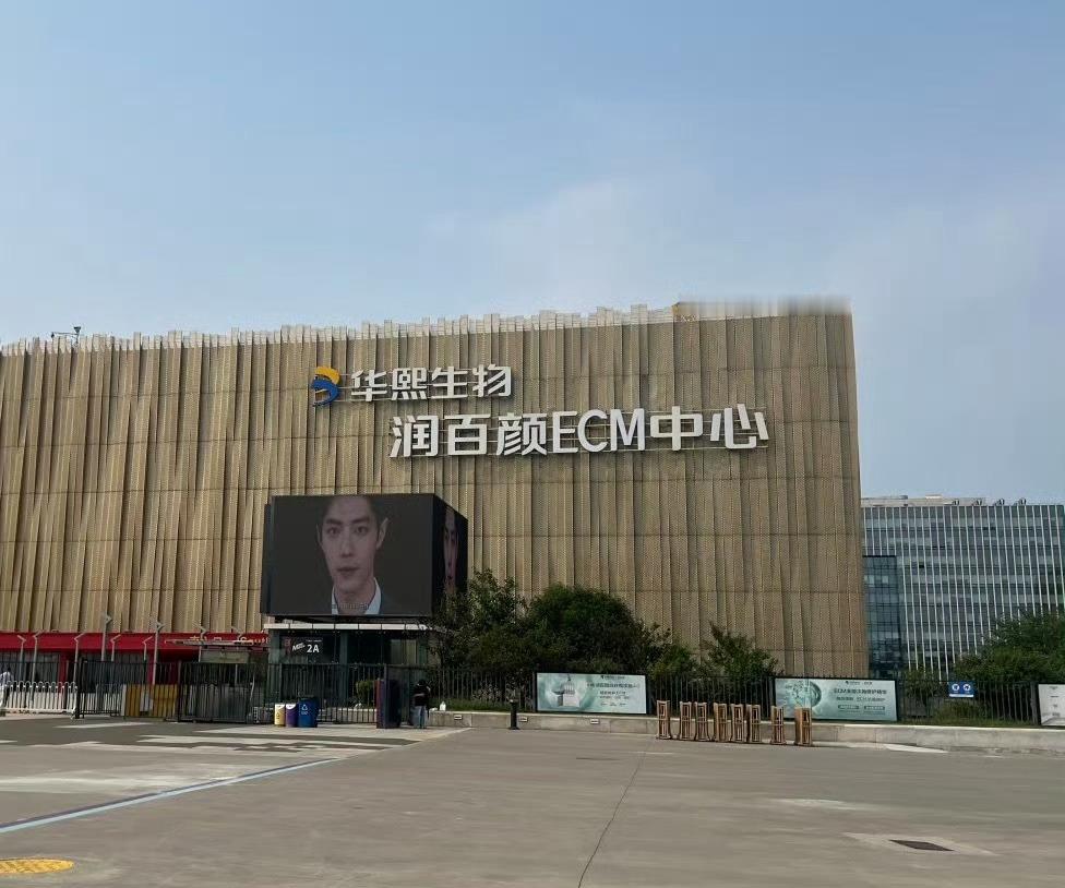 那英演唱会 肖战赌对的人有福了是真的 