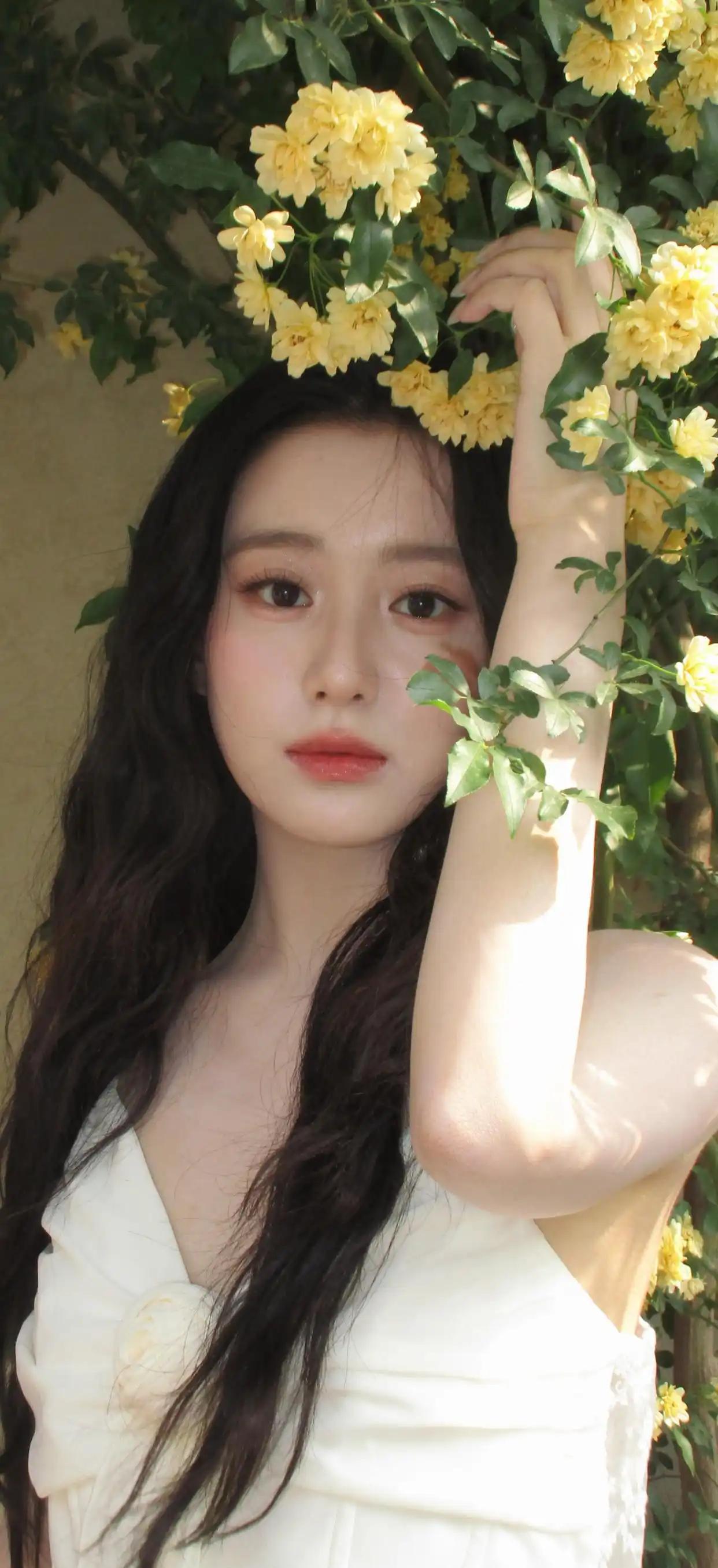 美女壁纸｜第2844期 · 包上恩：新版黄蓉，她演出了自己的味道