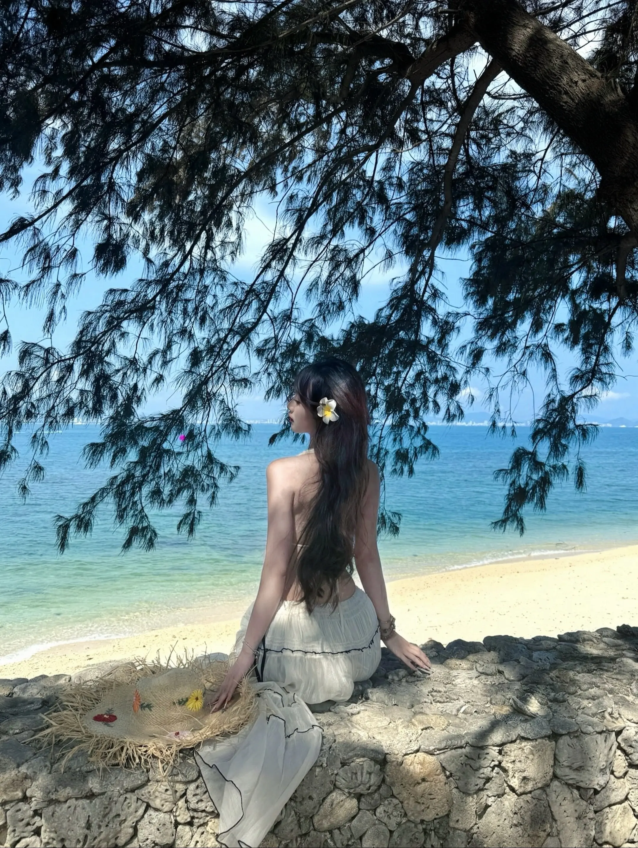 小鳥日记｜🌊🫧⊹⋰ 𓇼𝐼𝑠𝑙𝑎𝑛𝑑