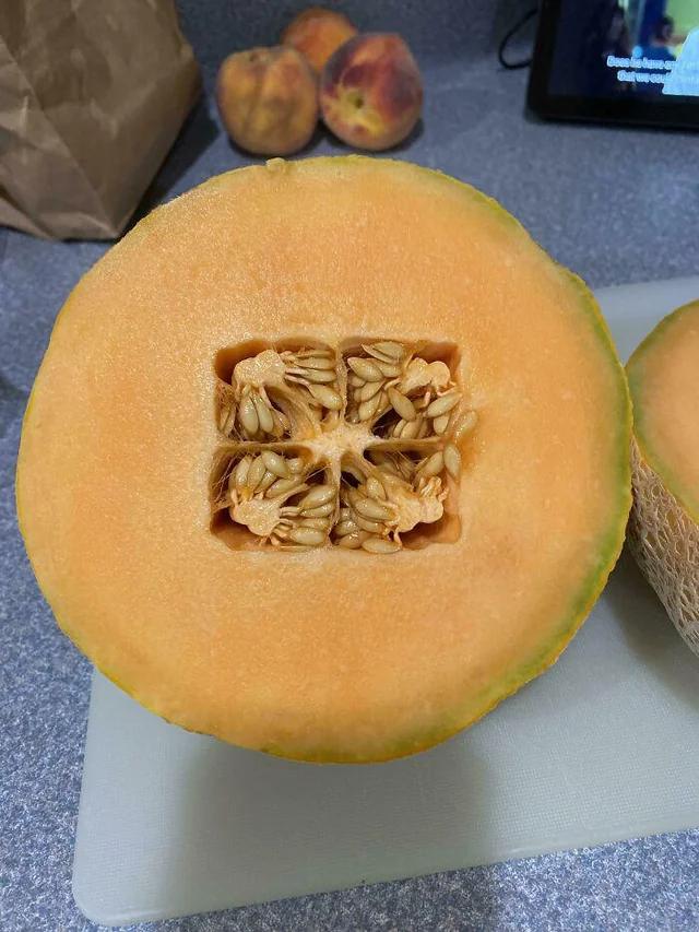 一只特别的哈密瓜