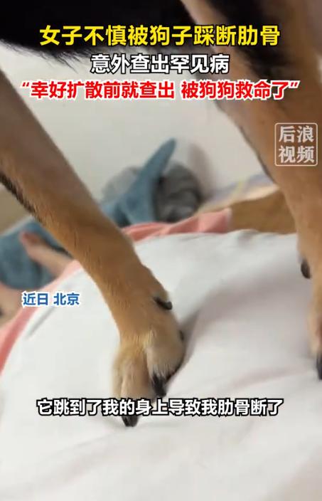 解释不清了！7月22日金羊网报道，北京一只80斤的牧羊犬，猛地扑到主人身上，直接