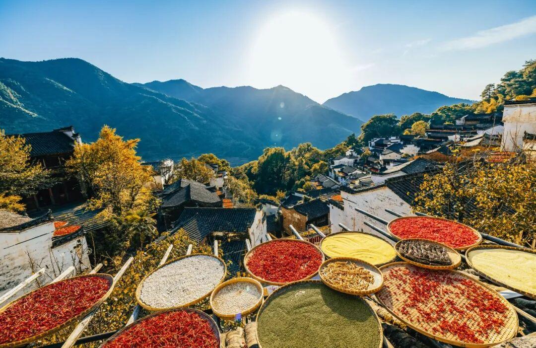 云天收夏色，木叶动秋声。