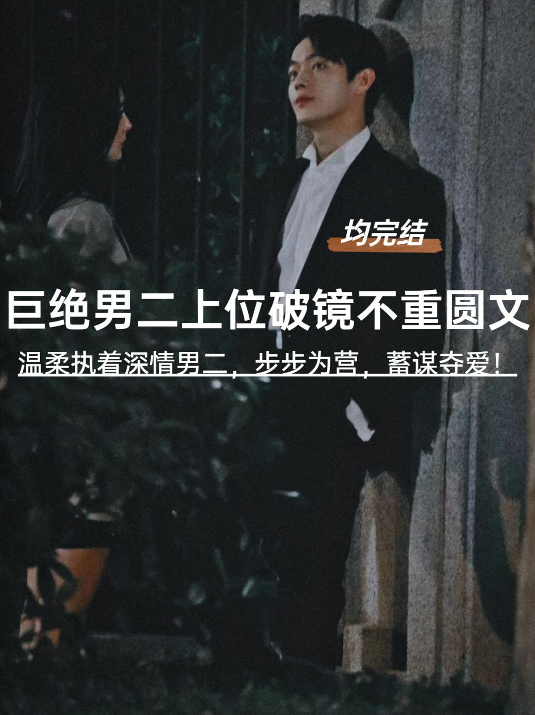 啊啊‼️九本经典男二上位文！前任追妻失败