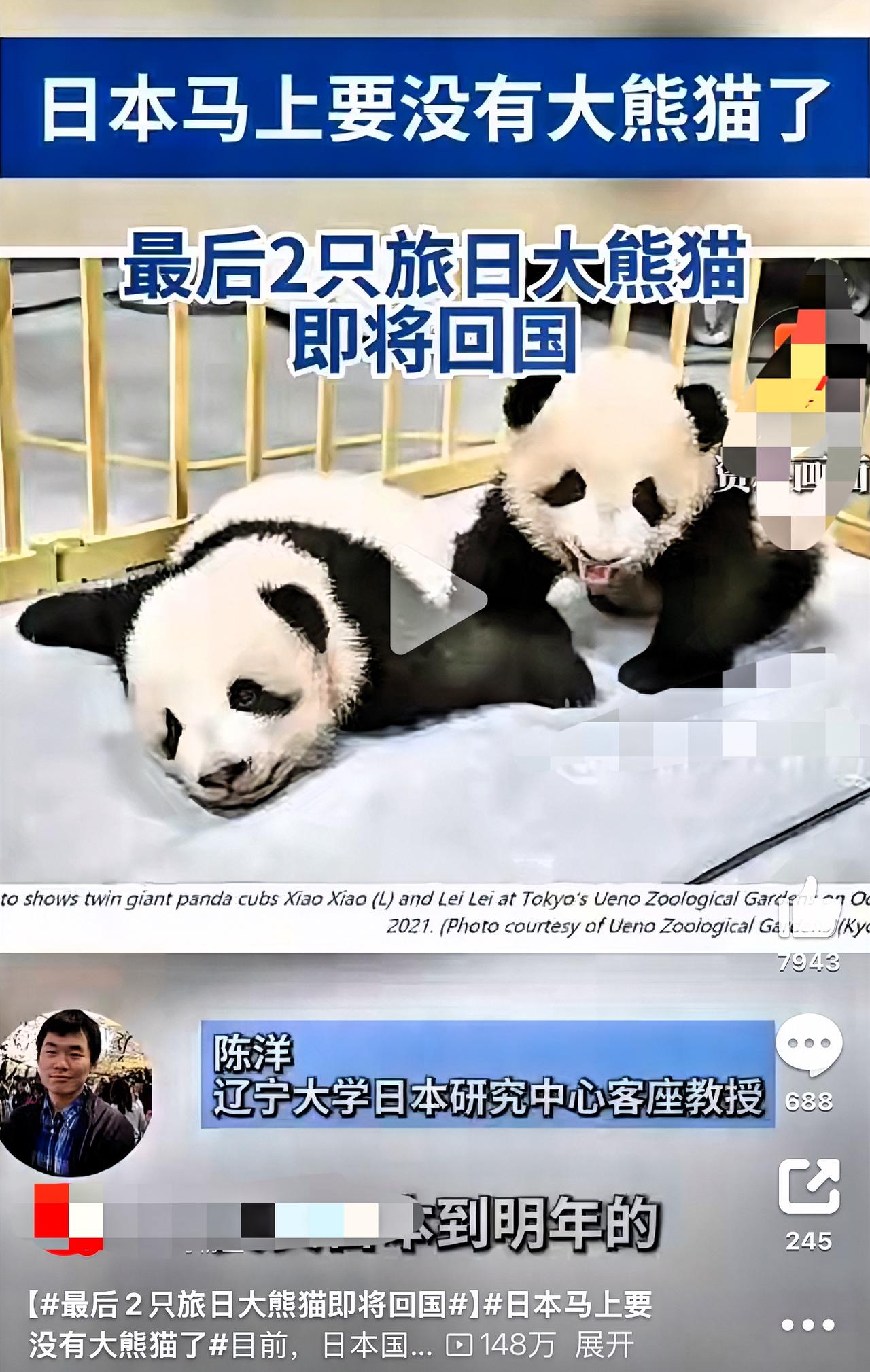 日本或将迎来"无熊猫时代"？一场跨越半个世纪的熊猫外交暗战正在上演！

"快看！