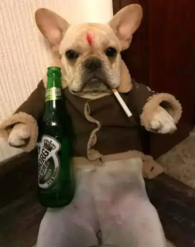 成年后父母，包括兄弟姐妹时不时打个电话过来，并不是关心你，更多是通过教...
