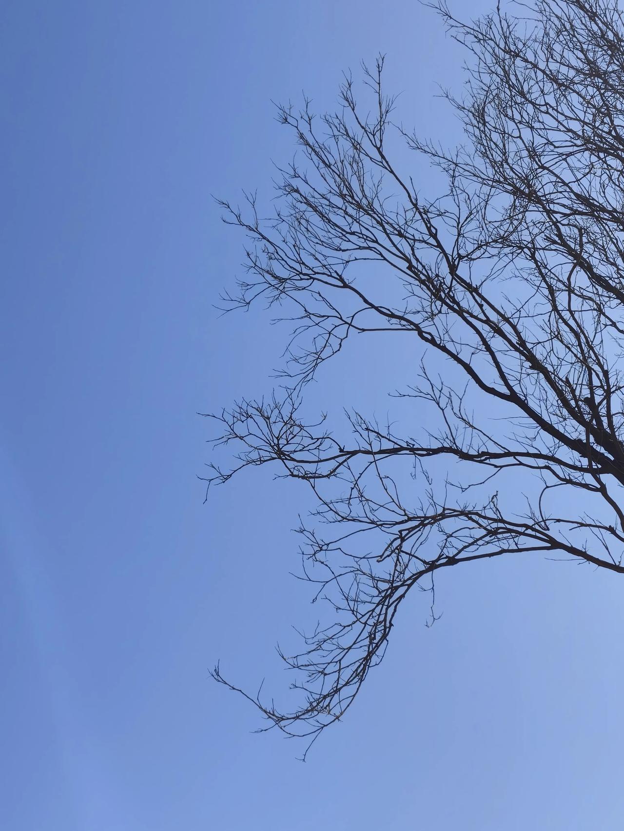            守村人

                    一文本原