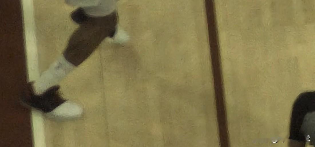 哈登真的是把篮球玩到极限了[赞]脚跟不落地

登哥才一点点点点踩线，没有出界！升