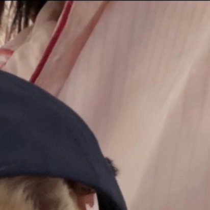 每一份坚持都是成功的累积，只要相信自己，总会遇到惊喜，每一种活都有各自的轨迹，记