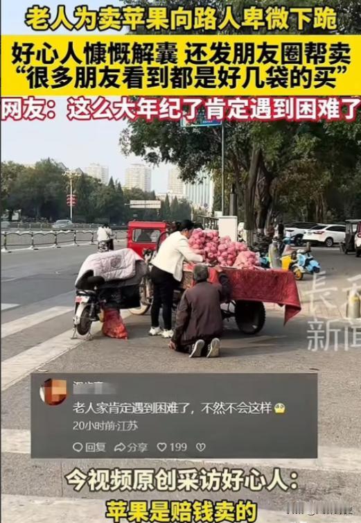 11月7日，一位白发苍苍的大爷，为卖苹果向路人卑微下跪，恳求他们买一袋苹果！大爷