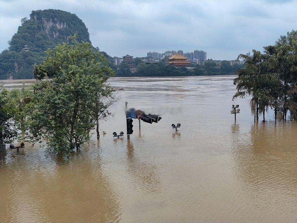西江2026年第1号洪水形成受持续强降雨影响，西江2026年第1号洪水正式形成，