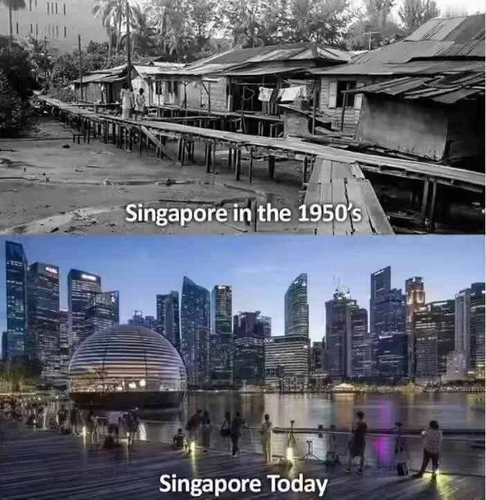 ️1965 年，新加坡脱离马来西亚。

没有军队，
没有资源，
没有淡水。
一个