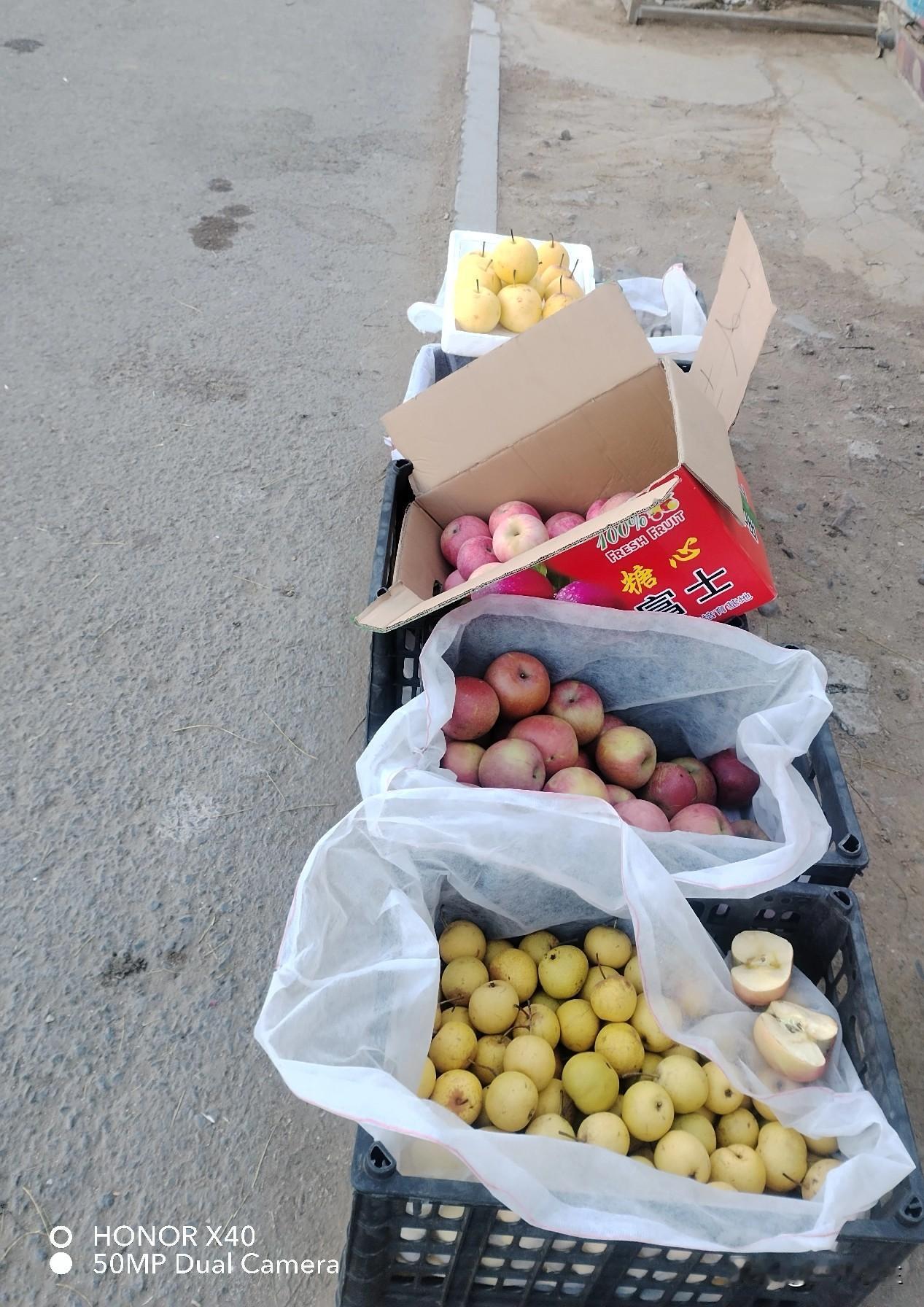 今天是个忙碌的日子，起大早去给爸爸妈妈上坟。五点多就出来了，天还没大亮。我们开车