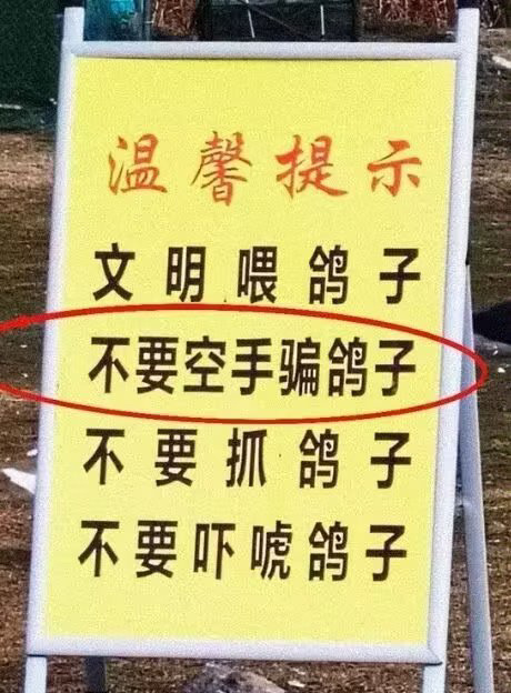 来个真正意义上的放鸽子 ​​​