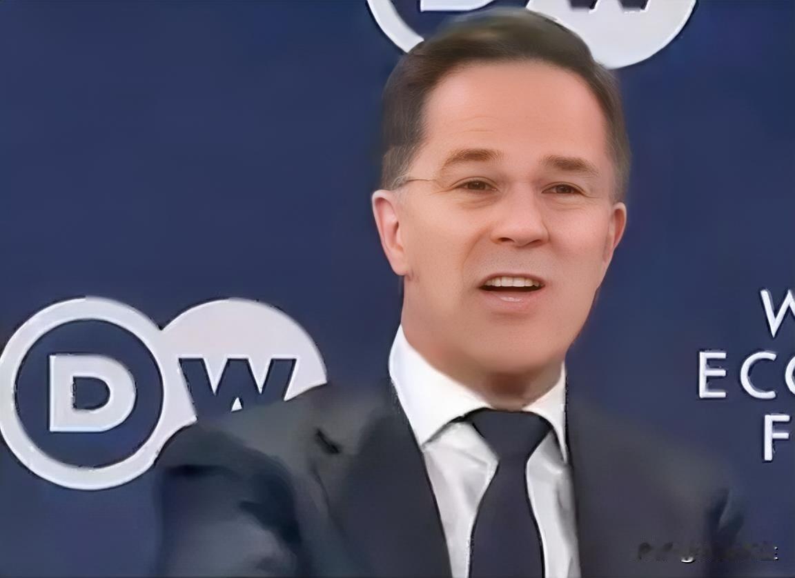 :“尽管很多人批评特朗普，但正是他的施压，才使欧洲多国及加拿大在2025年将国防