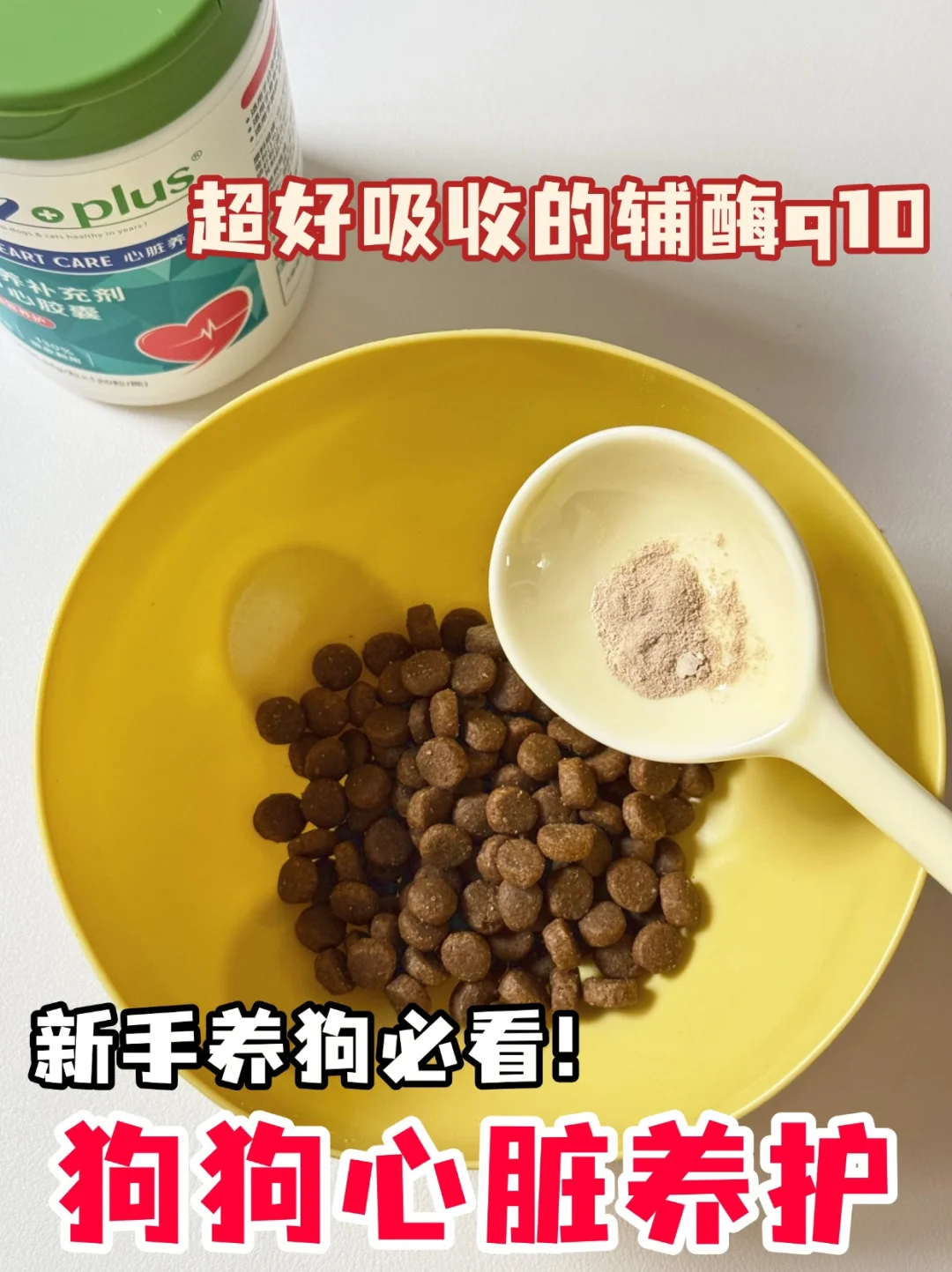 新手养狗心脏养护这样做！效果超好