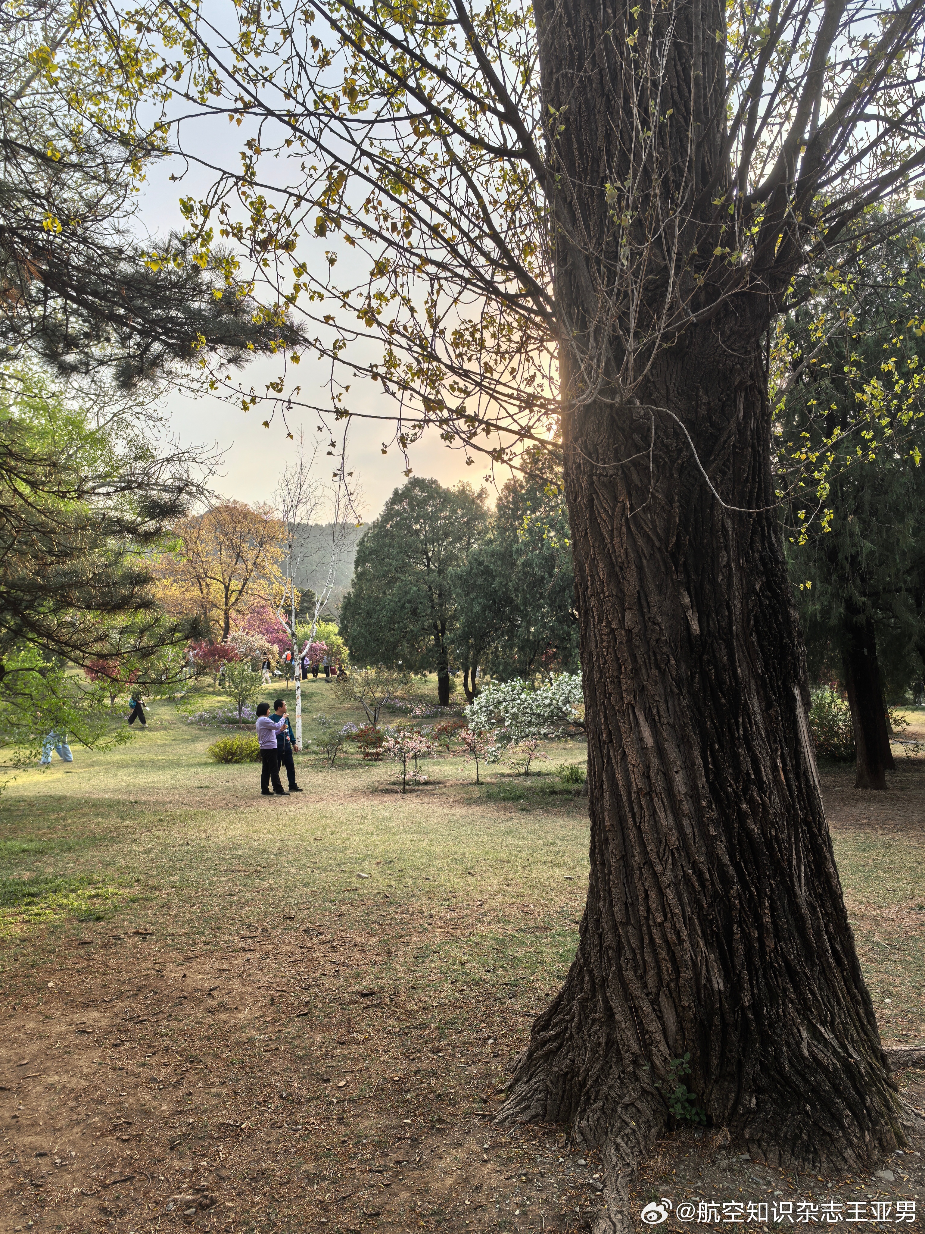 看看风景，清空内存，才能重新捕获灵感。 