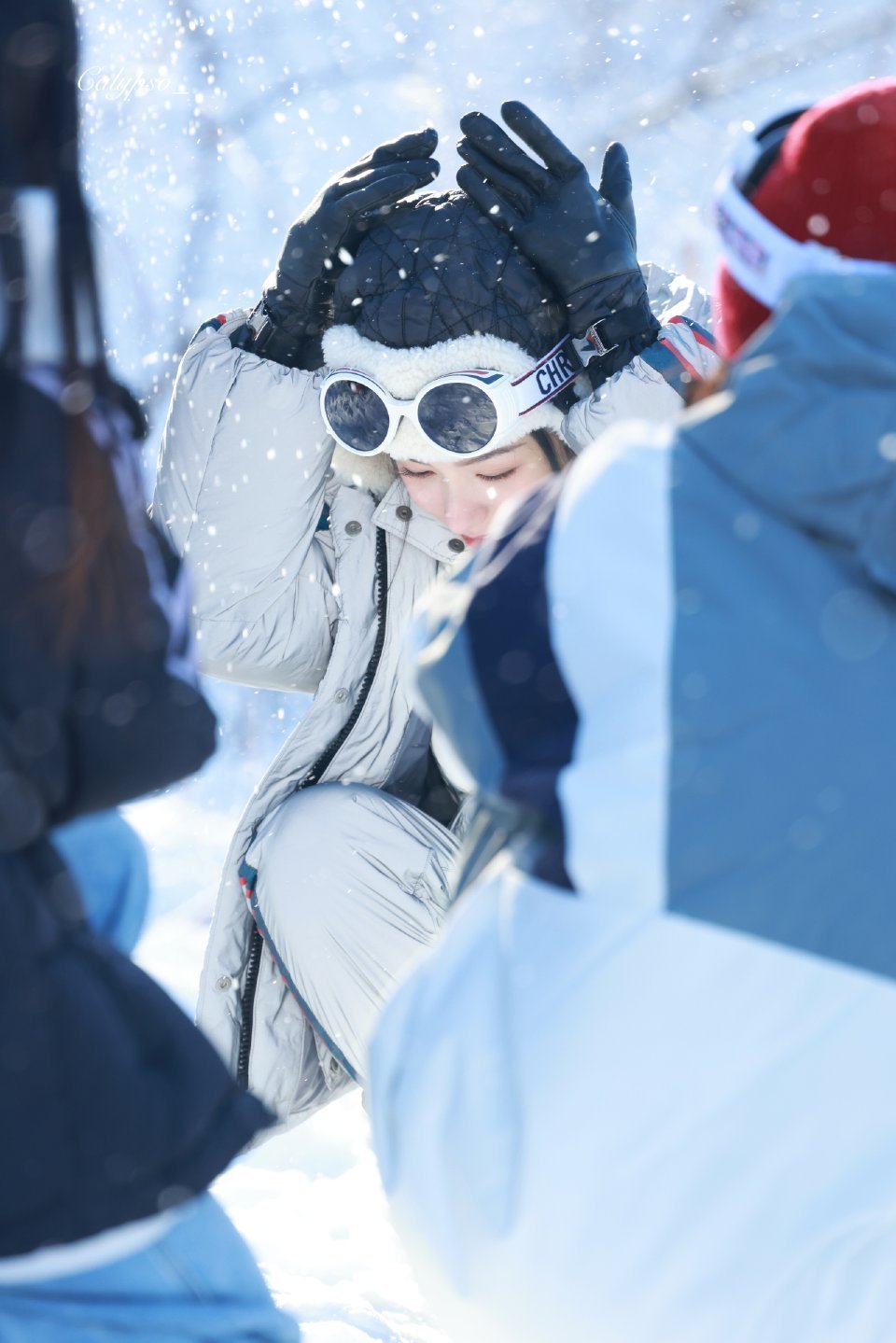 雪地萨摩耶周也周也谢清圆 ​​​