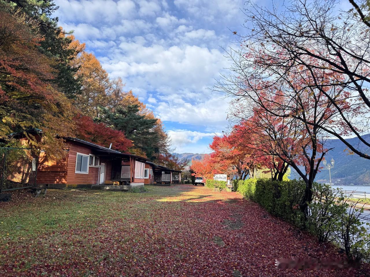 两个小老人日本自由行 之Day 5
今天的行程，主要围绕河口湖，游览了枫叶长廊、