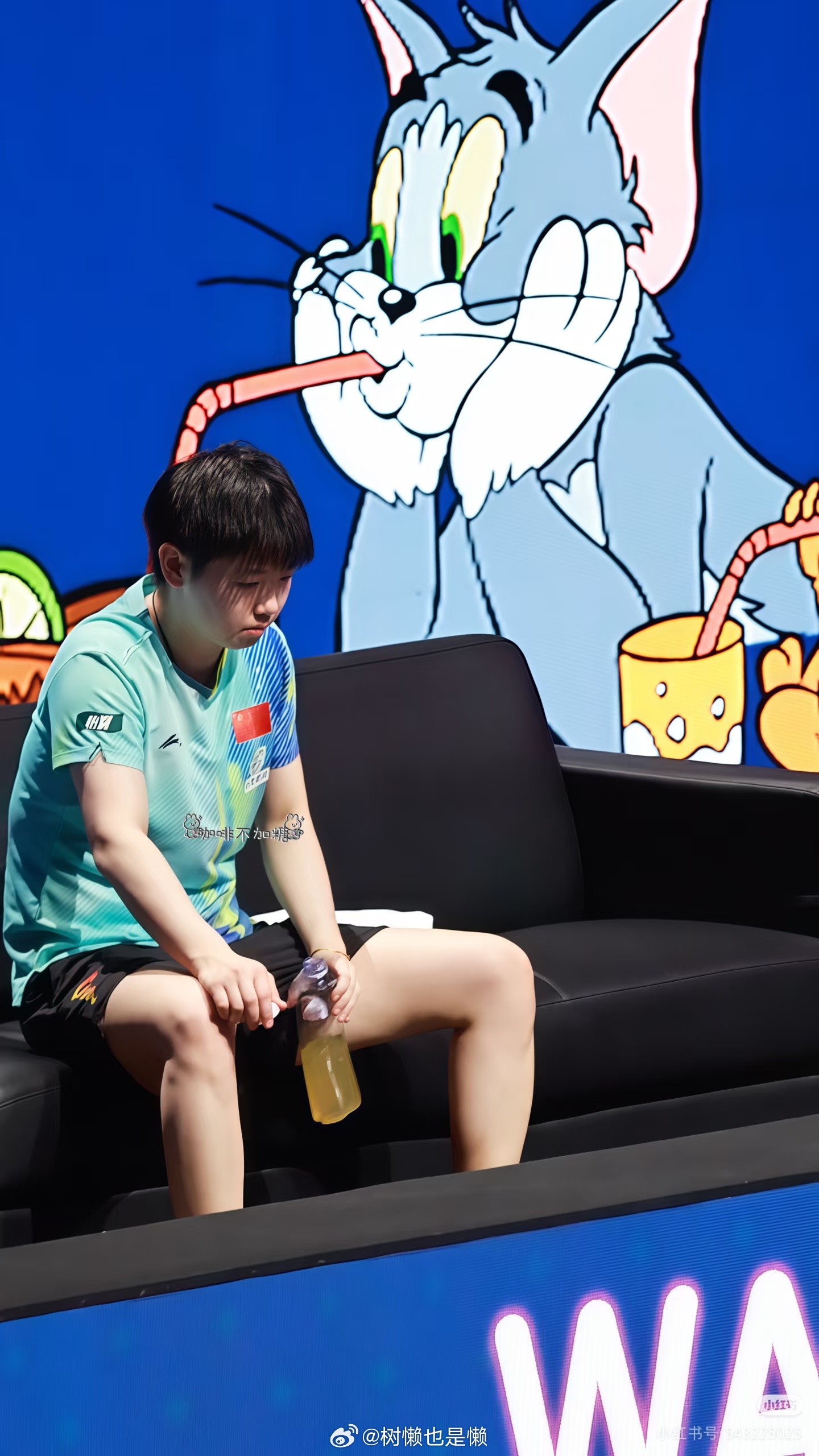 萌薯了这一组图我也要吸猫！网页链接